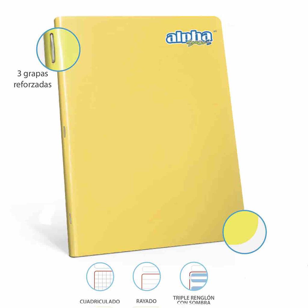 CUADERNO 88H SCOOL C/MARCO - ALPHA