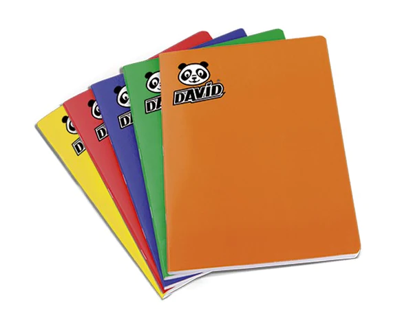 CUADERNO CUADR 80 HJS  DAVID