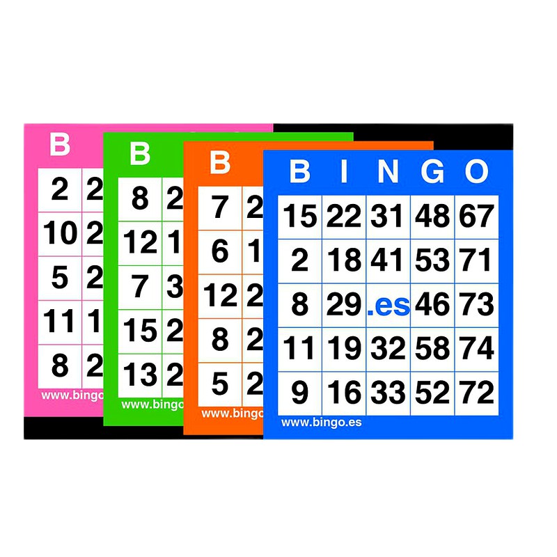 CARTILLA BINGO X 12