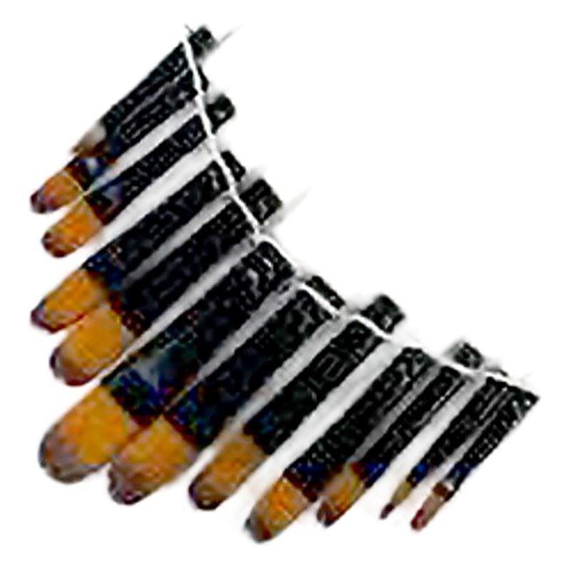PINCEL DE MADERA X12 BICOLOR
